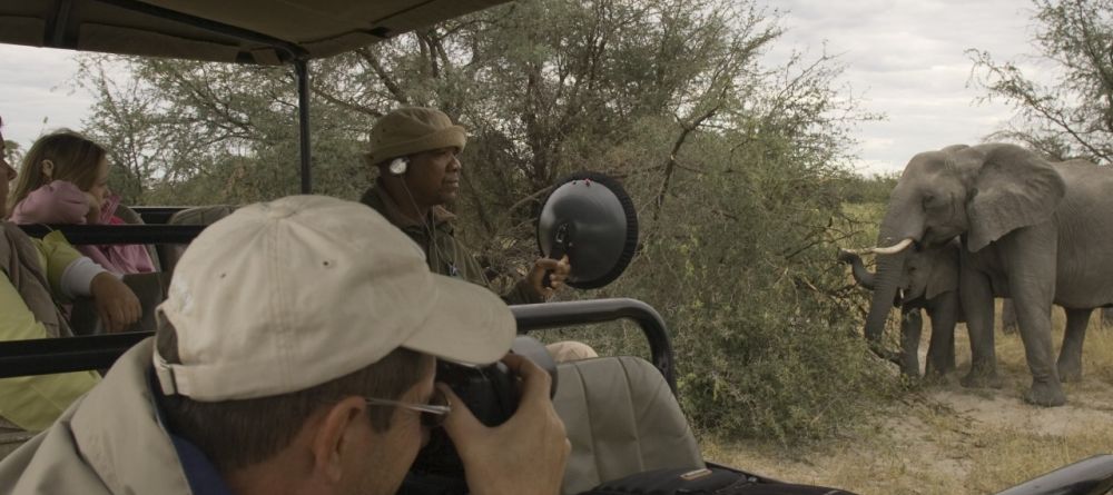 Photographing elephants at Chitabe Camp, Moremi Game Reserve, Botswana (Dave Hamman) - Image 17