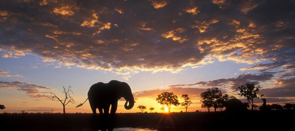 Chobe Under Canvas, Chobe National Park, Botswana - Image 1