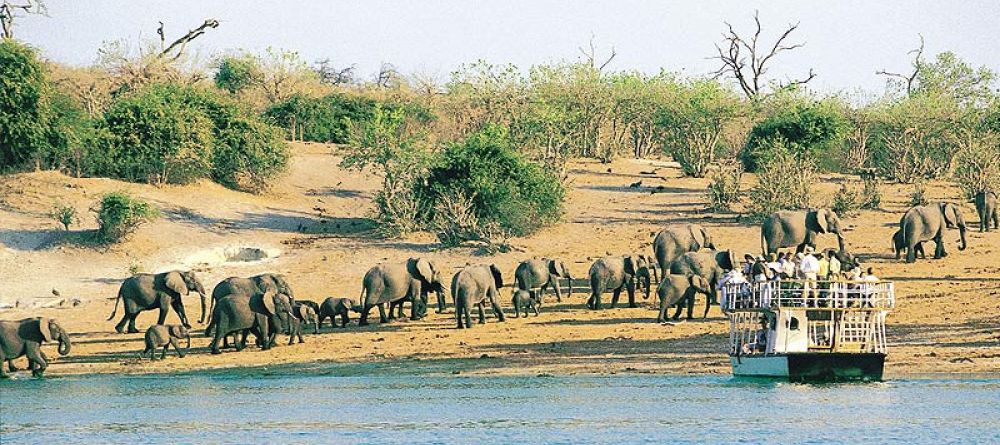 Chobe boat cruise - Image 10