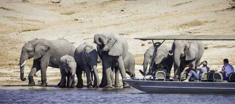 Wildlife - Image 1