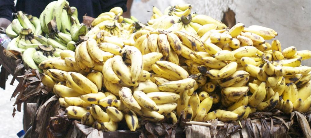A banana vendor in Stone Town - Dhow Palace Hotel, Zanzibar, Tanzania - Image 5