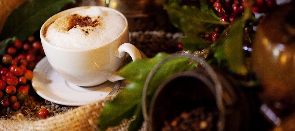 Coffee galore at Arusha Coffee Lodge, Arusha, Tanzania - Image 1