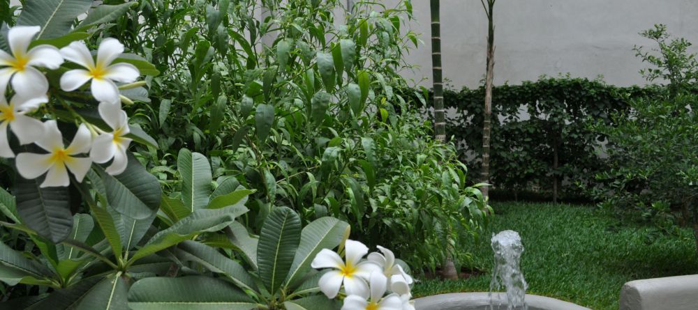 Gardens at Mashariki Palace, Stone Town, Zanzibar, Tanzania - Image 1