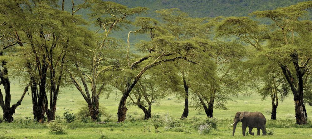 Entamanu Ngorongoro, Ngorongoro Crater, Tanzania - Image 9