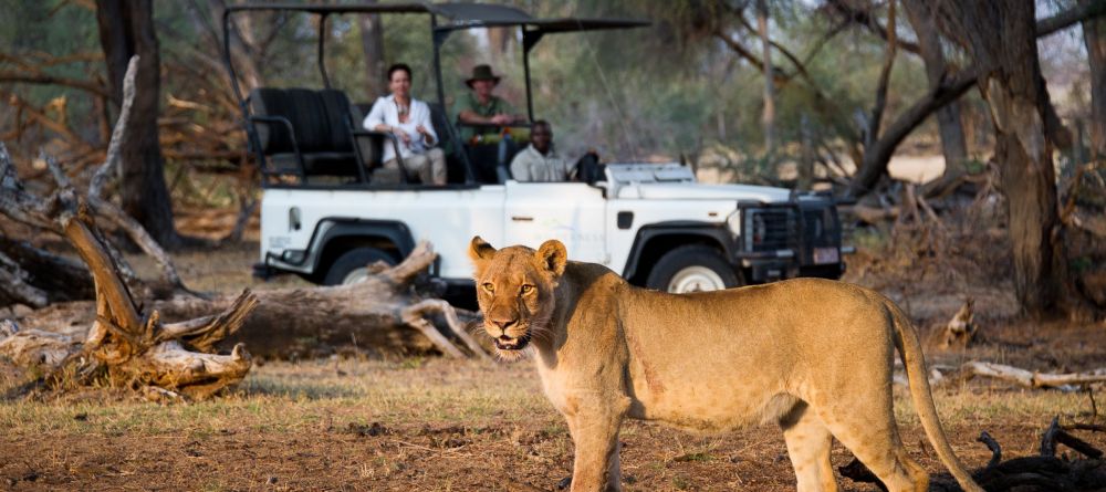 Game drive with lion - Image 3