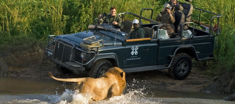A thrilling encounter with a lion during a game drive at Londolozi Founders Camp, Sabi Sands Game Reserve, South Africa - Image 8