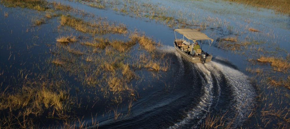 Boat cruise from Camp Moremi - Image 12