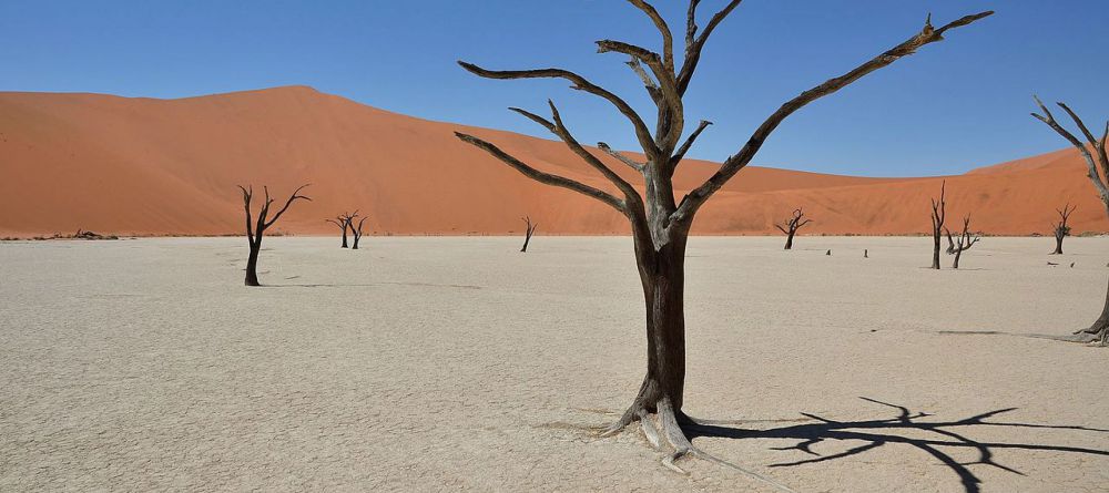 Kulala Desert Lodge, Sossusvlei, Namibia - Image 10