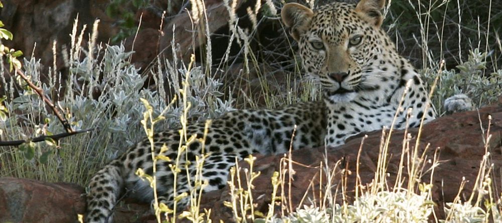 Desert Rhino Camp, Damaraland, Namibia Â© Mike Myers - Image 7