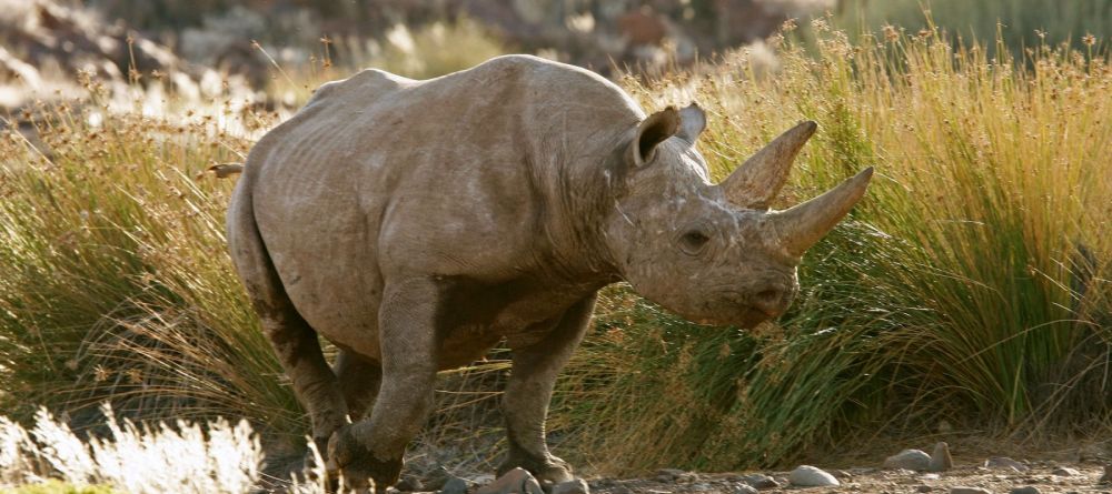 Desert Rhino Camp, Damaraland, Namibia Â© Mike Myers - Image 8