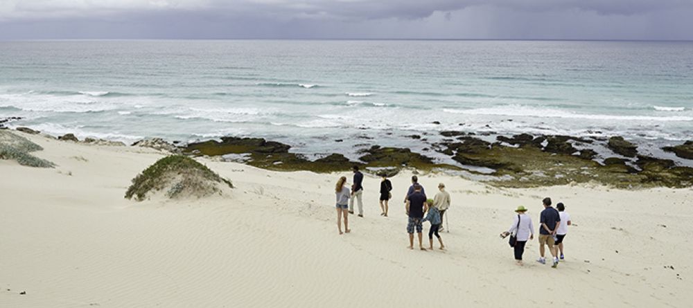 De Hoop - Image 4