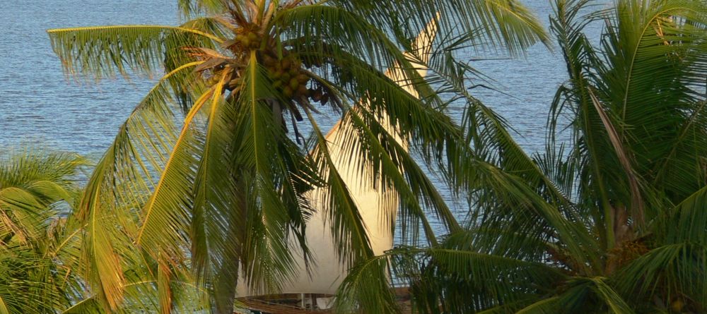 A dhow hiding behind palm trees at Peponi Hotel, Lamu Island, Kenya - Image 10