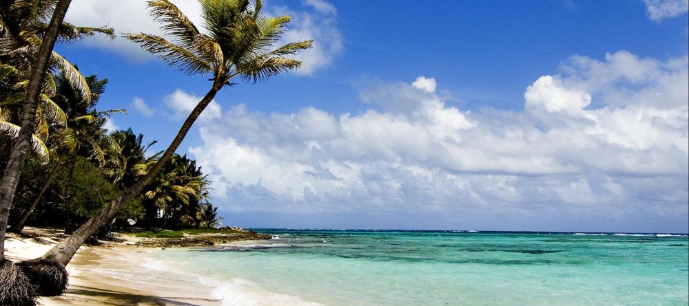 AfroChic Diani - Image 8