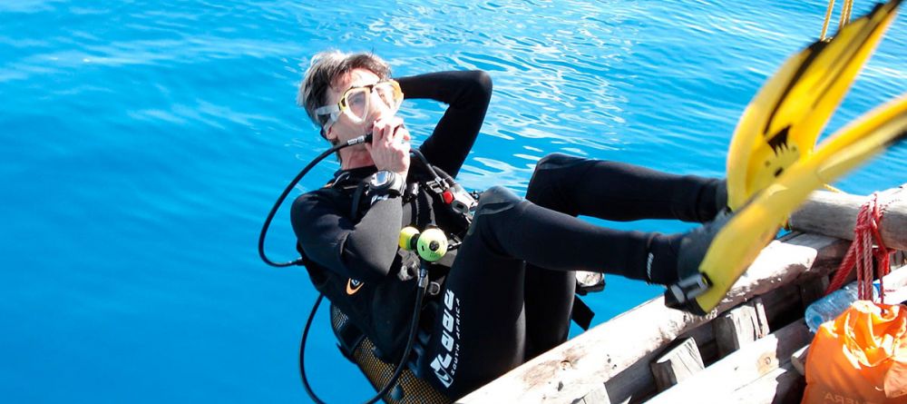 Diving - Image 1