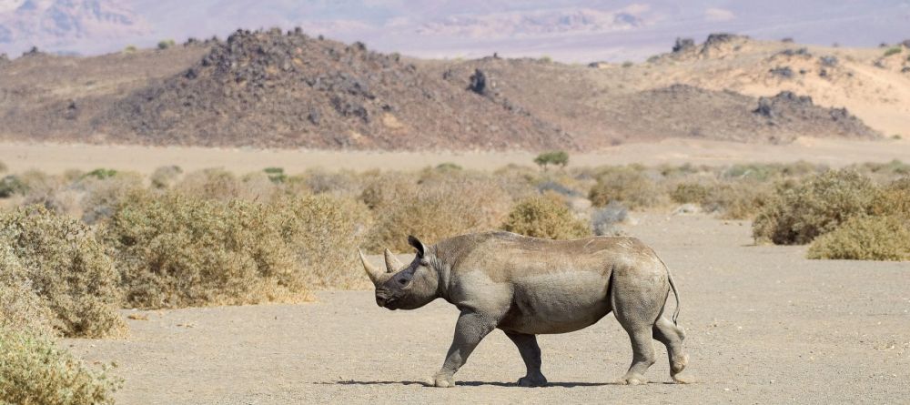 Doro Nawas Camp, Damaraland, Namibia Â© Dana Allen - Image 9