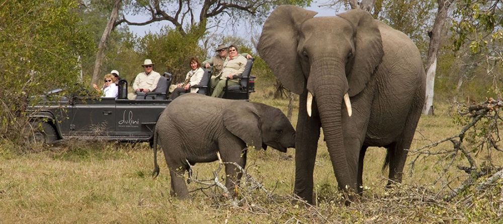 Dulini River Lodge - Image 8