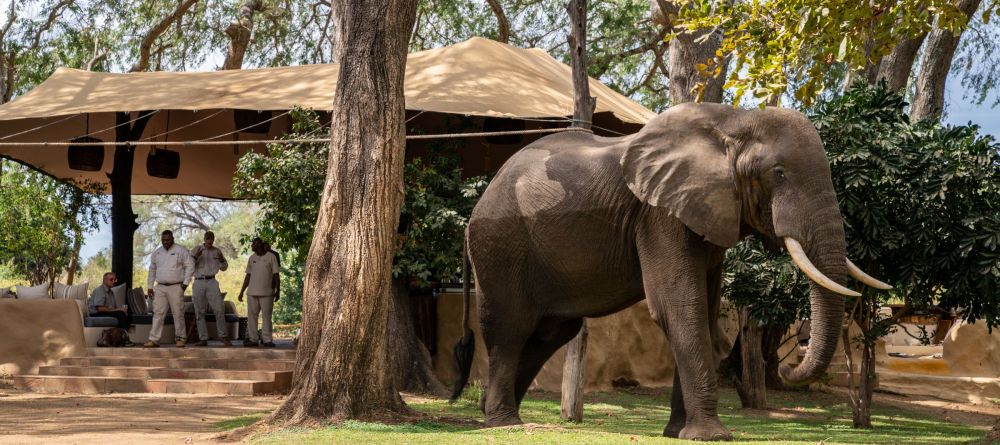 Chongwe River Camp, Lower Zambezi National Park, Zambia - Image 5