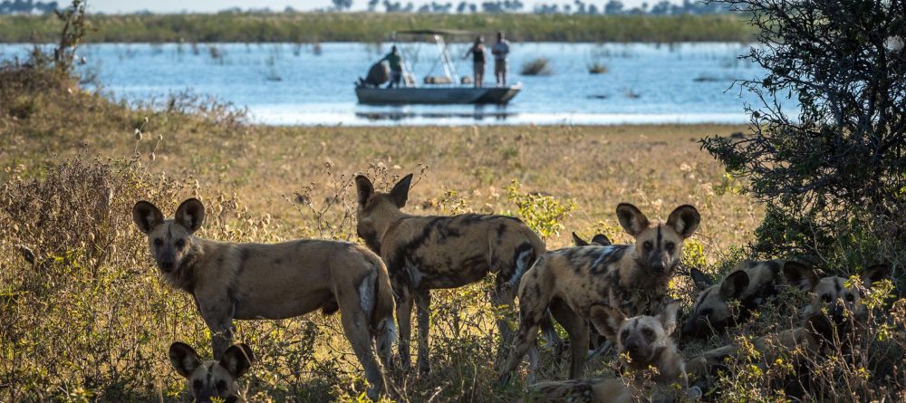 Duma Tau, Linyanti Wetlands, Botswana - Image 25