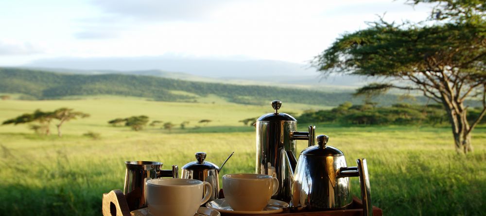 Morning coffee at Dunia Camp, Serengeti National Park, Tanzania - Image 8