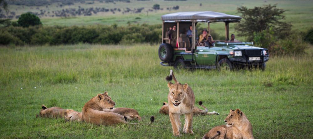 Mara Plains Camp, Masai Mara National Reserve, Kenya - Image 3
