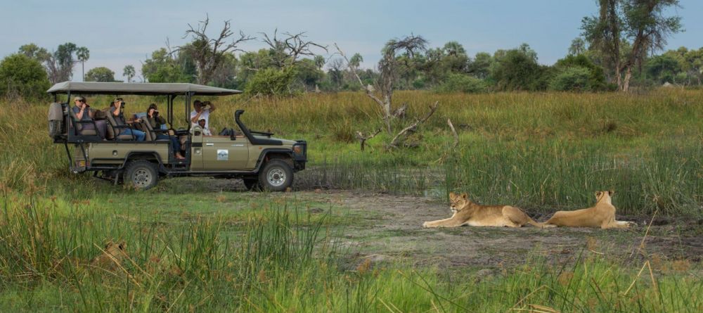 Game drive with lions - Image 10