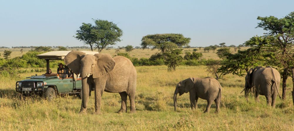Mara Plains Camp, Masai Mara National Reserve, Kenya - Image 22