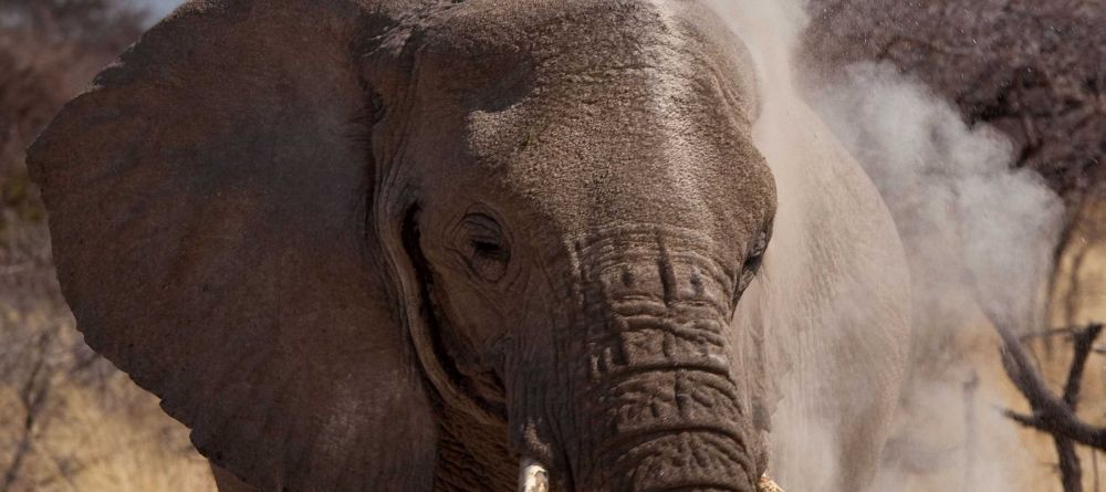 Mokuti Etosha Lodge, Etosha National Park, Namibia - Image 10