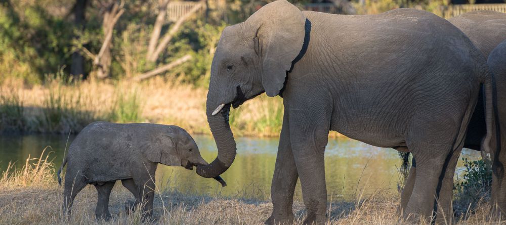 Sabi Sabi - Image 5