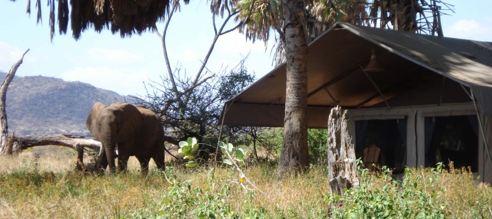 Tent exterior at Elephant Bedroom Camp, Samburu National Reserve, Kenya - Image 1