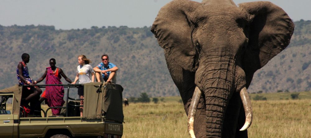 Elephant bull spotted on a game drive at Ngare Serian Camp, Masai Mara National Reserve, Kenya - Image 16