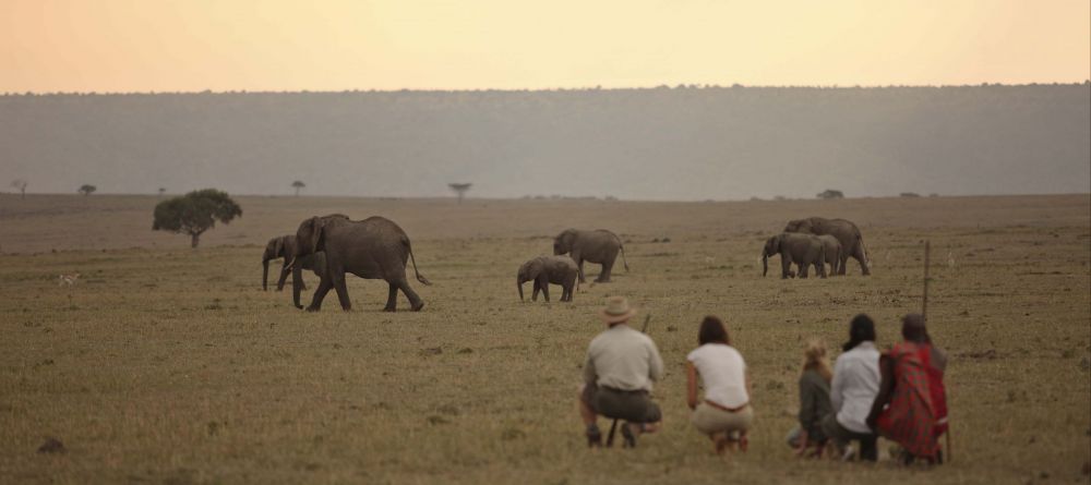 Elephant Pepper Camp, Masai Mara National Reserve, Kenya - Image 1