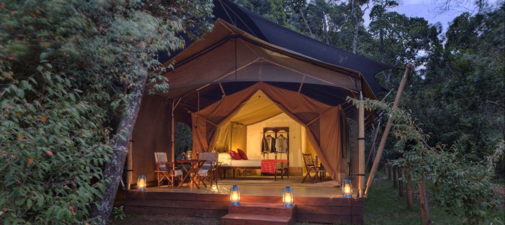 Elephant Pepper Camp, Masai Mara National Reserve, Kenya - Image 18