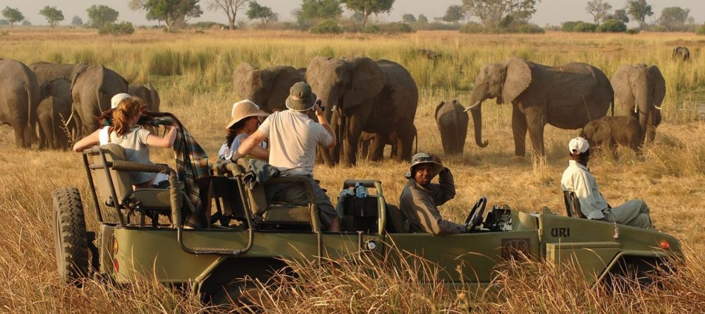 Game drive at Elephant Valley Lodge, Chobe National Park, Botswana - Image 2