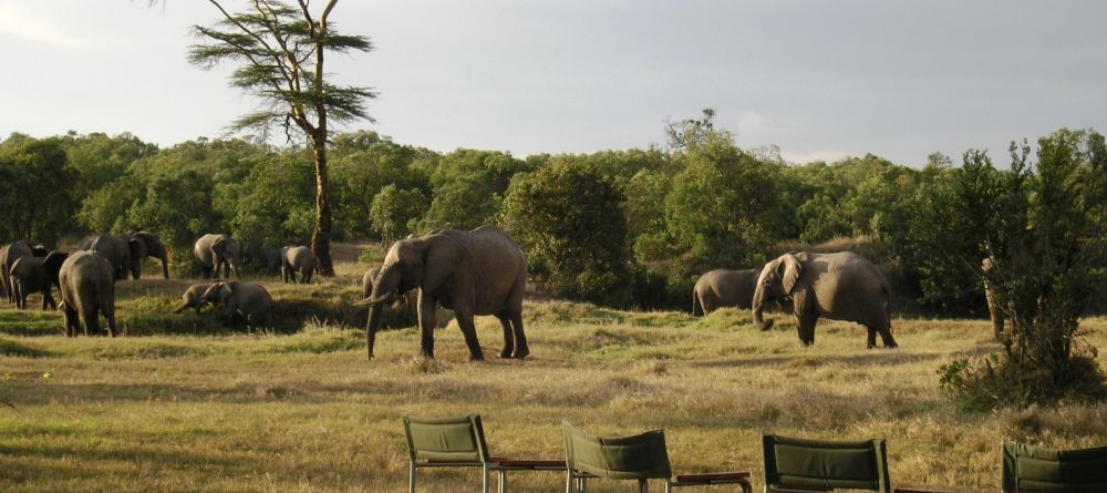 Elephants at sundowners- Ol Pejeta Bush Camp, Ol Pejeta Reserve, Kenya - Image 11