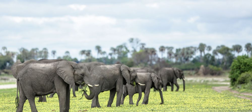 Tarangire Ndovu Camp - Image 2