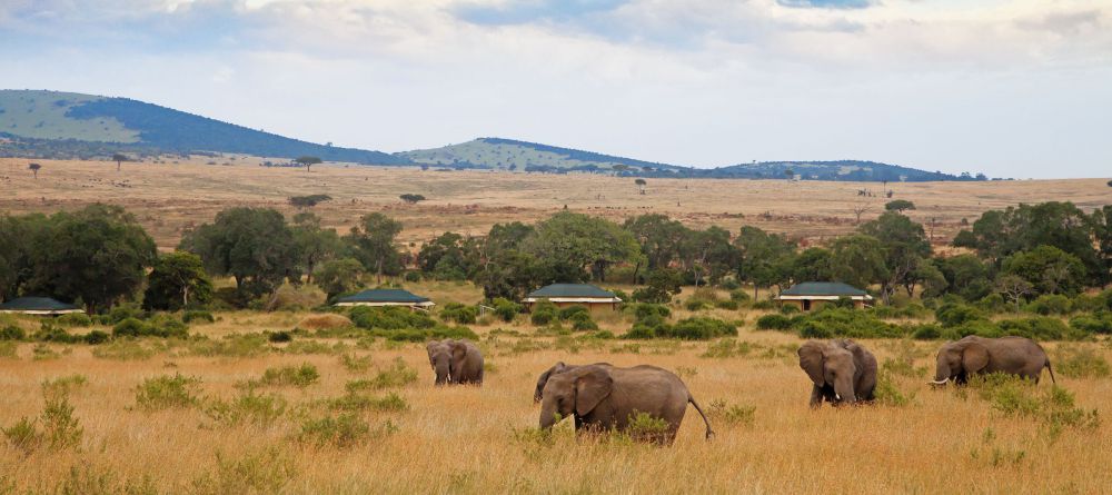 Sand River Mara Camp, Masai Mara National Reserve, Kenya - Image 7