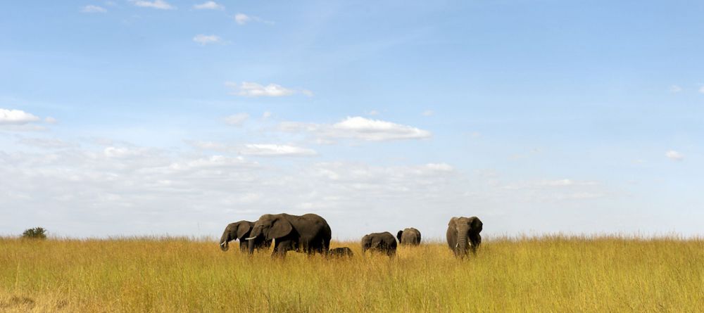Serena Serengeti Safari Lodge, Serengeti National Park, Tanzania - Image 12