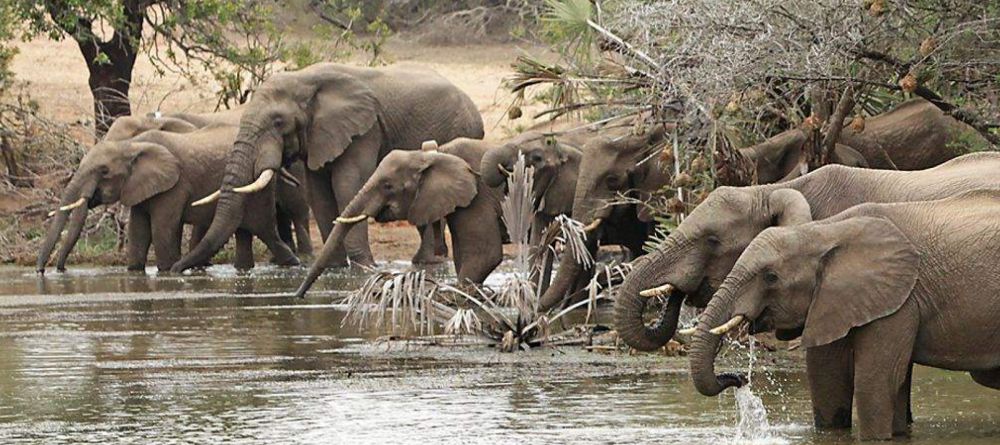 Phinda Zuka Lodge - Image 2