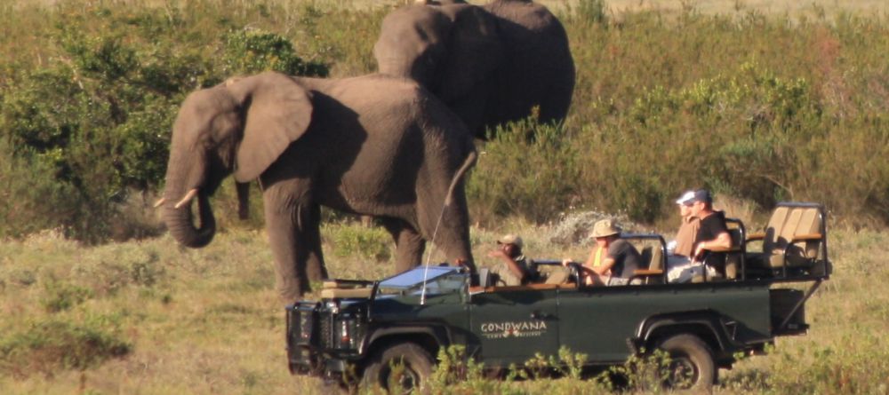Game drive at Kwena Lodge - Image 2