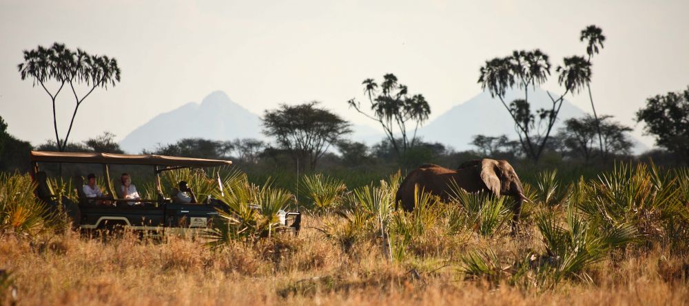 Elsas Kopje, Meru National Park, Kenya - Image 8