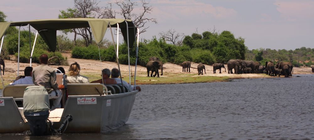 A herd of elephants is spotted during a boat safari at Elephant Valley Lodge, Chobe National Park, Botswana - Image 12