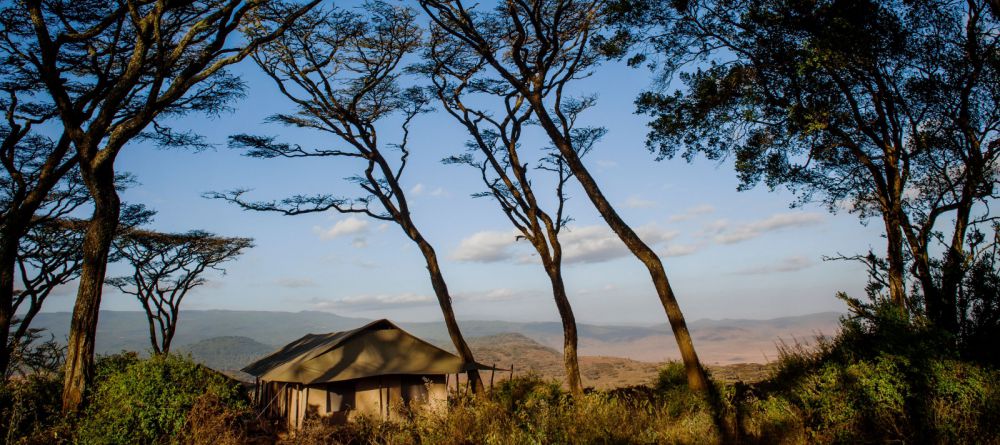 Entamanu Ngorongoro  - Image 1