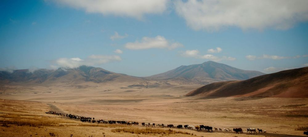 Entamanu Ngorongoro  - Image 18