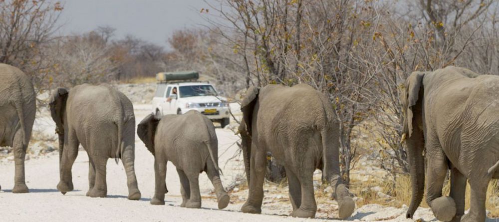 Epacha Game Lodge - Image 2