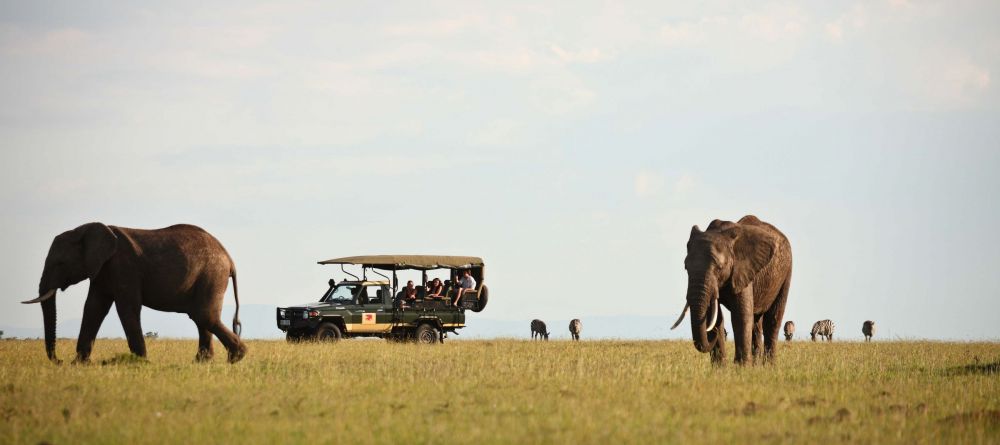 Elephant Pepper Camp, Masai Mara National Reserve, Kenya - Image 23