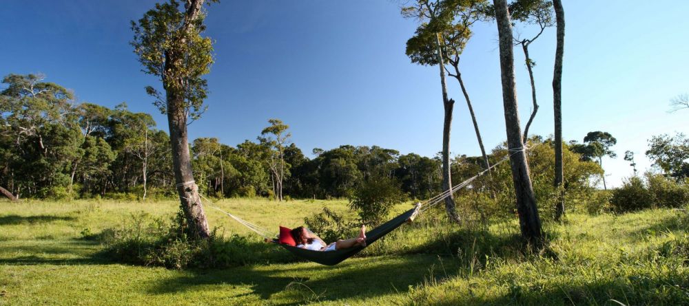 Elephant Pepper Camp, Masai Mara National Reserve, Kenya - Image 4