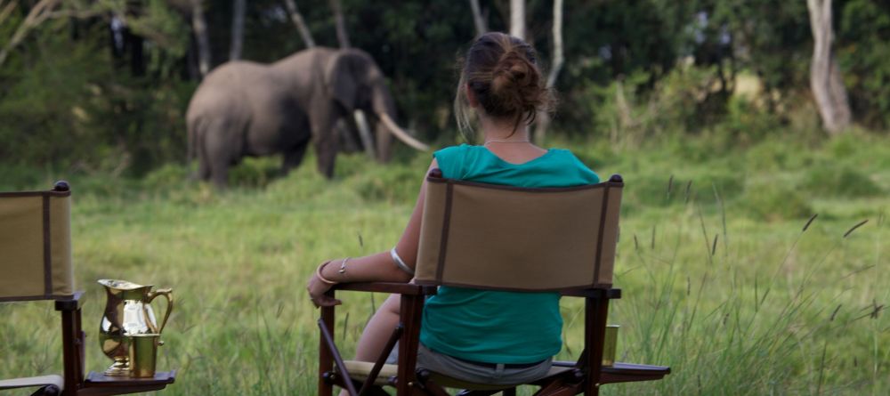Elephant Pepper Camp, Masai Mara National Reserve, Kenya - Image 5