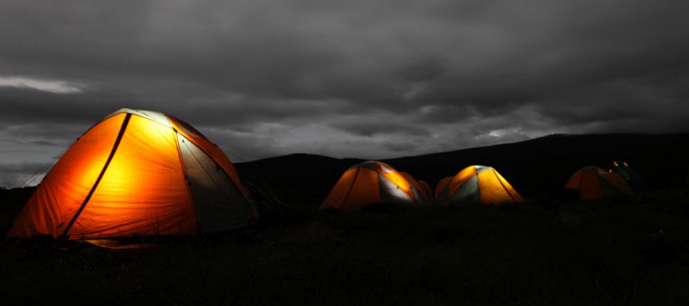 Mt. Kilimanjaro Western Approach - Image 12