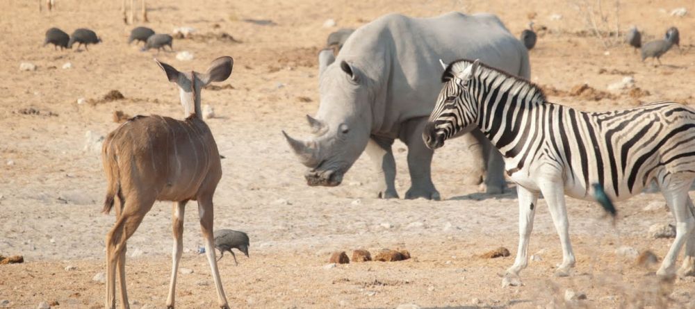 Etosha Safari Lodge, Etosha National Park, Namibia - Image 2