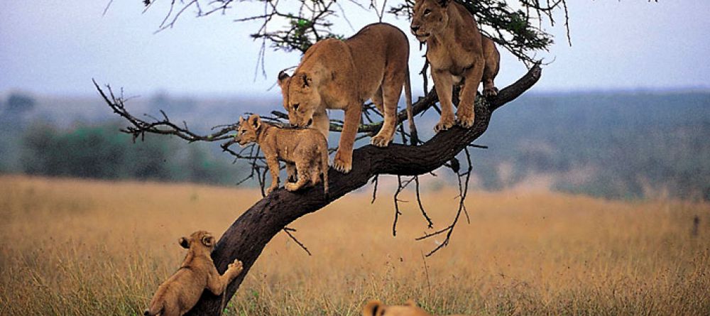 Etosha Safari Lodge, Etosha National Park, Namibia - Image 1